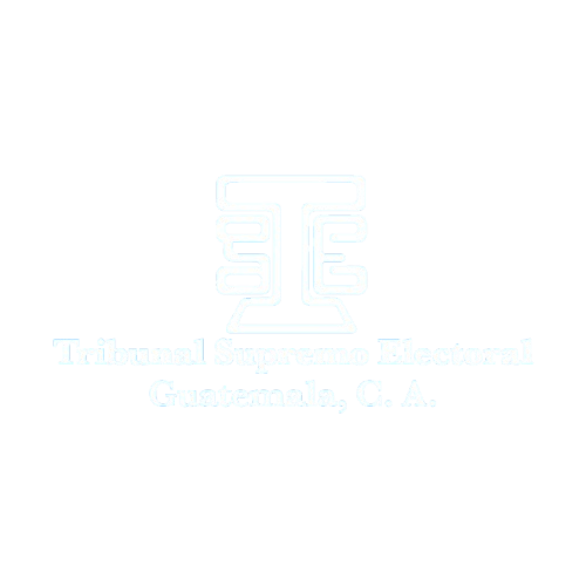 Tribunal Supremo Electoral