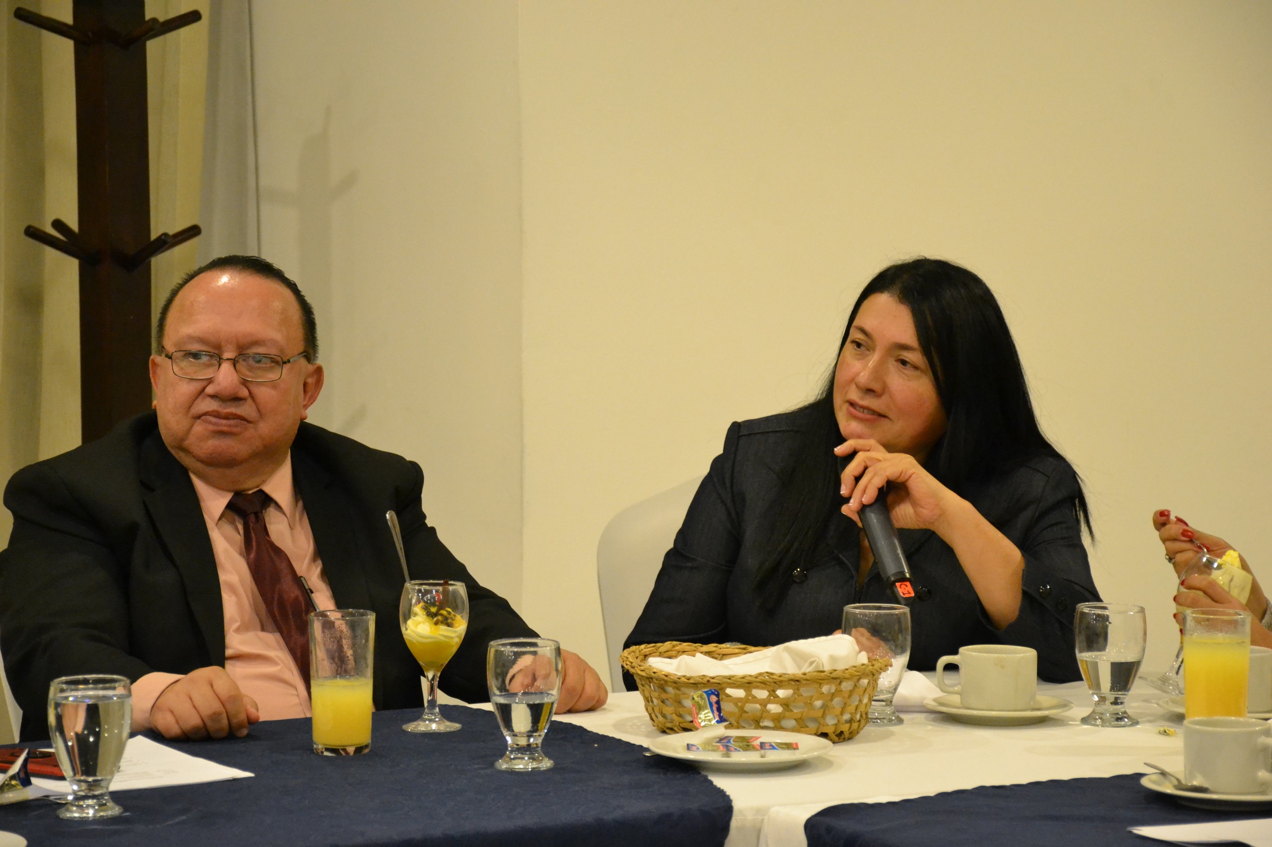 TSE participa en la segunda reunión del foro de secretarios generales de partidos políticos